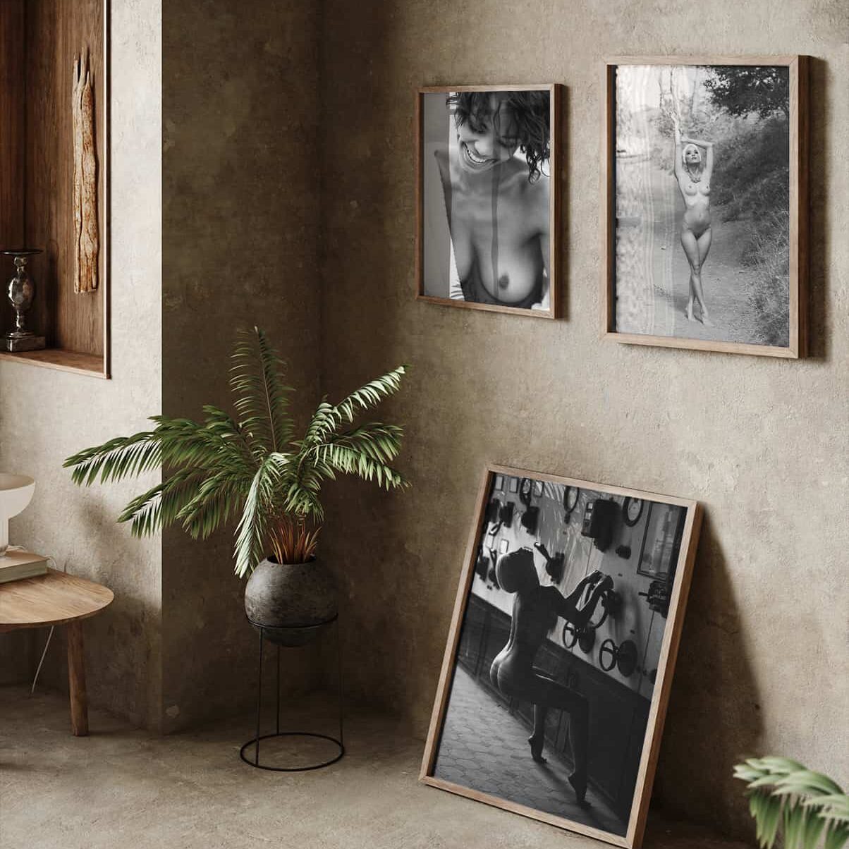 3-Bilder-mit-Pflanze574201962 3-Bilder-mit-Pflanze574201962