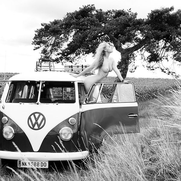 Erotische Aktfotografie mit Roadtrip-Feeling – eine Frau steht nackt in der Tür eines VW-Busses, während die Natur sie umgibt.