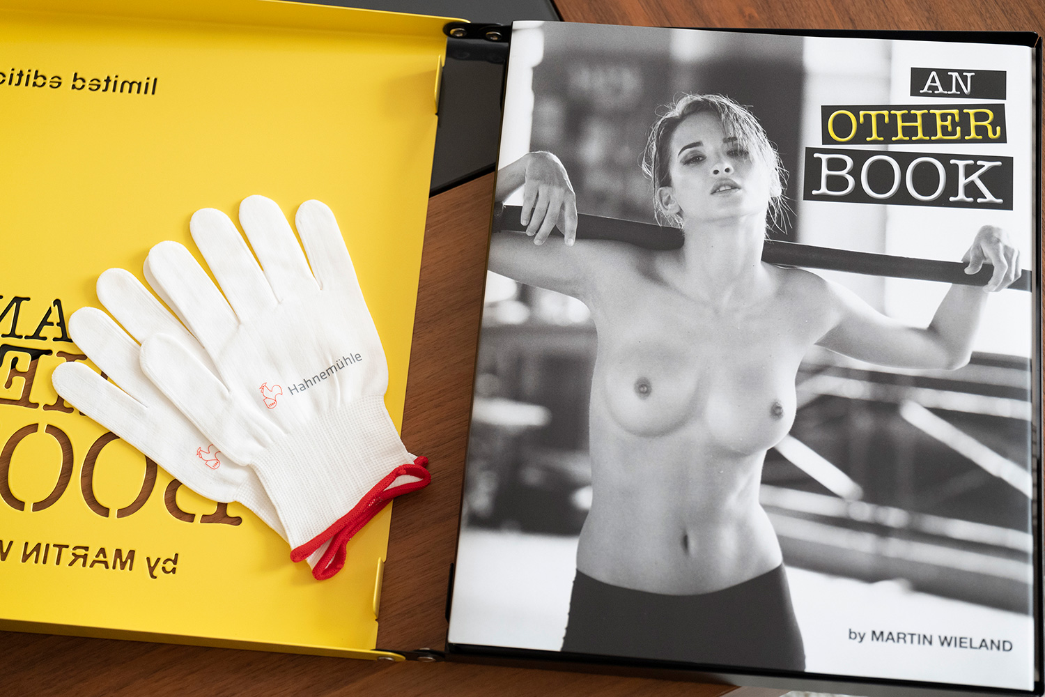 delivered with Hahnemühle gloves