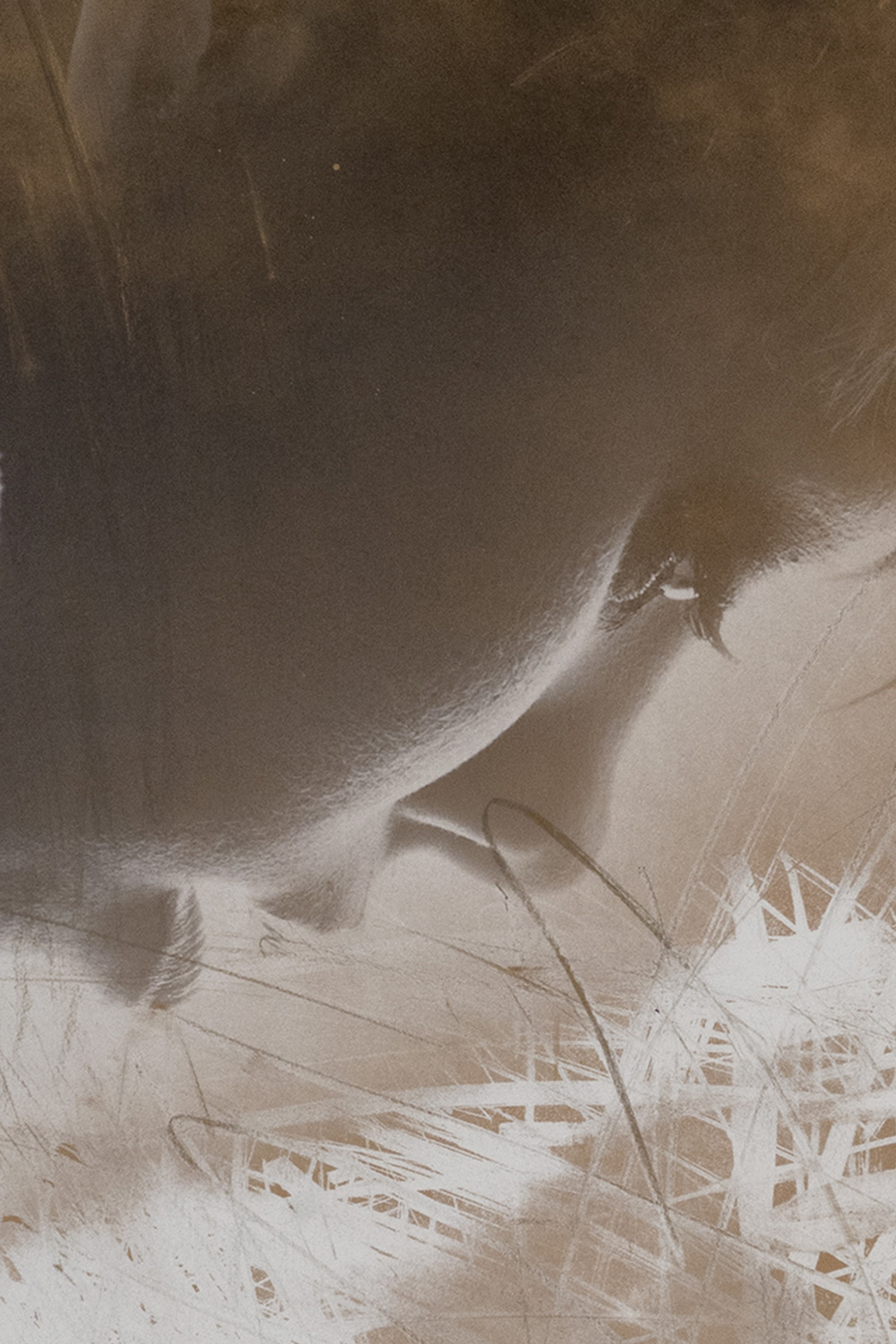 FRACTION OF GOLD - Image 3