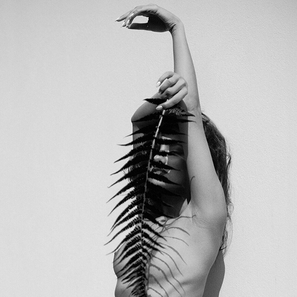 „Leaf It to the Shadows